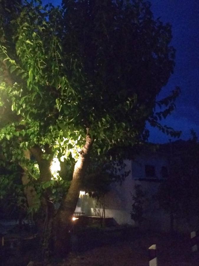 Kalama Apartments Kálamos المظهر الخارجي الصورة